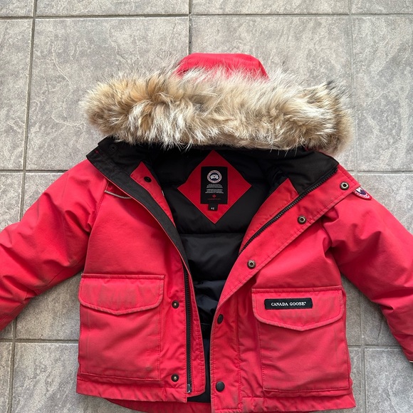 Jacket - Picture 4 of 13